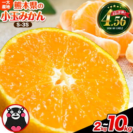 【ふるさと納税】訳あり みかん 小玉みかん くまもと小玉みかん 2kg 5kg 10kg 秋 旬 不揃い 傷 ご家庭用 SDGs 小玉 たっぷり 熊本県 産 S-3Sサイズ フルーツ 旬 柑橘 熊本県産 温州みかん《9月下旬-12月下旬頃出荷》