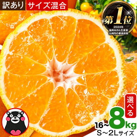【ふるさと納税】みかん 訳あり くまもとみかん 約1.6kg 約4.8kg 約8kg S-2Lサイズ サイズ混合 ご家庭用《7-14日以内に出荷予定(土日祝除く)》 訳あり みかん フルーツ サイズ混合 秋 旬 柑橘 熊本県 玉東町 熊本県産 玉東町産含む