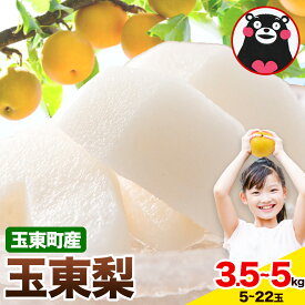 【ふるさと納税】【先行予約】梨 玉東梨 3.5kg 4.5～5kg 《8月下旬-11月中旬頃出荷》 熊本県 玉名郡 玉東町 なし 果物 スイーツ フルーツ 秋 旬 幸水 あきづき 豊水梨 新高梨 新興梨 甘太 秋麗梨 あたご梨 楽天スーパーSALE