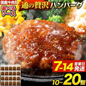【ふるさと納税】 「通の贅沢ハンバーグ」《出荷時期をお選びください》 最大 20個 国産のお肉使用！ 鶏肉不使用 温めるだけ選べるソース デミグラス 和風ジャポネ テリヤキ 計3種 ハンバーグ 牛 訳あり 小分け