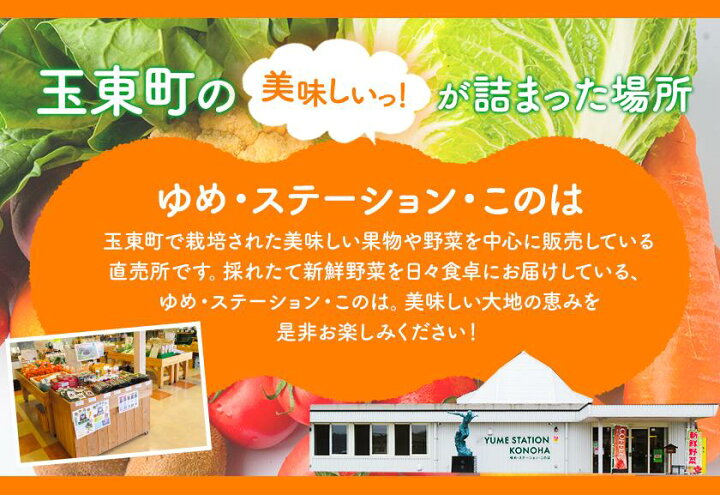 楽天市場】【ふるさと納税】季節の野菜詰め合わせセット 8~10品目 《30日以内に順次出荷(土日祝除く)》ゆめ・ステーション・このは 旬 野菜 新鮮 美味しい おまかせ 詰め合わせ 産地直送 厳選 熊本県 玉名郡 玉東町 送料無料 : 熊本県玉東町 楽天市場】【ふるさと納税】季節の野菜詰め合わせセット 8~10品目 《30日以内に順次出荷(土日祝除く)》ゆめ・ステーション・このは 旬 野菜 新鮮 美味しい おまかせ 詰め合わせ 産地直送 厳選 熊本県 玉名郡 玉東町 送料無料 : 熊本県玉東町