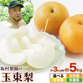 【ふるさと納税】秋 旬 梨 フルーツ 期間限定 坂村梨園 玉東梨 熊本県玉名郡玉東町 選べる 旬の梨 甘太梨 秋麗梨 約3kg(4〜10玉前後) 約5kg(5〜18玉前後) 梨 なし 果物 旬の梨 《8月中旬-11月上旬頃出荷》豊水 秋麗 あきづき 甘太 新高 新興