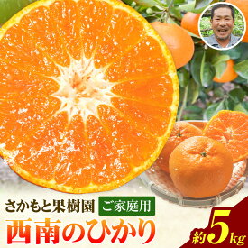 【先行予約】【ふるさと納税】 西南のひかり 約5kg さかもと果樹園《12月中旬-12月末頃出荷予定》熊本県 玉名郡 玉東町 みかん 柑橘 フルーツ 果物 ご家庭用 サイズミックス 【日付指定不可】