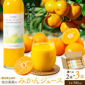 【ふるさと納税】＼新リリース／池田農園のみかんジュース 選べる内容量 2本 または 3本 1本500ml 池田農園《30日以内に出荷予定(土日祝除く)》熊本県 玉名郡 玉東町 みかんジュース みかん ミカン ジュース 自然栽培 栽培期間中農薬・肥料不使用