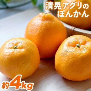 yӂ邳Ɣ[Łzk |J wWAOx |J 4kg(M-3LTCY) ytwsz \t t[c H { Â W[V[  F{  ʖ S ʓ  wWAOx |