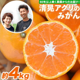 【ふるさと納税】みかん 柑橘 『清晃アグリ』 みかん 約4kg(2S-2Lサイズ) 【日付指定不可】 予約受付中 フルーツ 秋 旬★熊本 県 玉名 郡 玉東 町 健康 土 ジューシー おいしい みかん ！《11月中旬-12月末頃出荷(土日祝除く)》 美味しい 甘い