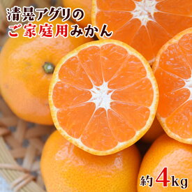 【ふるさと納税】ご家庭用『清晃アグリ』のご家庭用みかん★約4kg(2S-2Lサイズ) 【日付指定不可】 予約受付中 フルーツ 秋 旬★熊本県玉名郡玉東町 健康な土で育つジューシーおいしいみかん！ちょこっと 訳あり《11月中旬-12月末頃出荷》