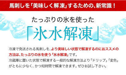 【ふるさと納税】★熊本特産馬刺し★馬刺し4種の盛り合わせ【極上大トロ馬刺し100g/特選霜降り馬刺し100g/ロース馬刺し100g×3/赤身馬刺し100g×4】+タレ360ml付き《8月中旬-9月上旬頃より順次出荷》