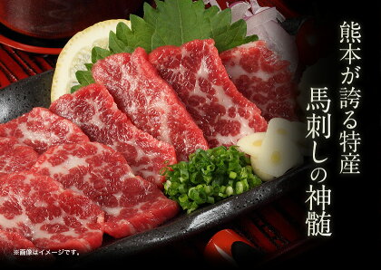 【ふるさと納税】★熊本特産馬刺し★馬刺し4種の盛り合わせ【極上大トロ馬刺し100g/特選霜降り馬刺し100g/ロース馬刺し100g×3/赤身馬刺し100g×4】+タレ360ml付き《8月中旬-9月上旬頃より順次出荷》