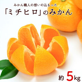 【ふるさと納税】【先行予約】秋 旬 フルーツ みかん ぎょくだん『ミチヒロ』のみかん 約5kg(サイズおまかせ) 予約受付中 フルーツ 秋 旬 熊本県玉名郡玉東町『熊本・玉東、玉東町段々畑男子団。』みかん ぷらっとぎょくとう《10月中旬-1月中旬出荷》