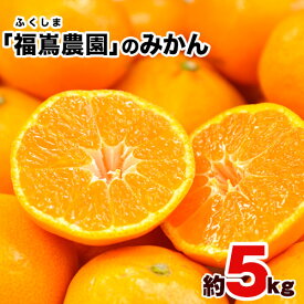 【ふるさと納税】訳あり みかん 旬 大容量 約5kg(2S-2Lサイズ) 予約受付中 フルーツ 秋 旬★熊本県玉名郡玉東町 甘みと酸味のバランスが絶妙♪『福嶌農園』みかん《1月出荷》