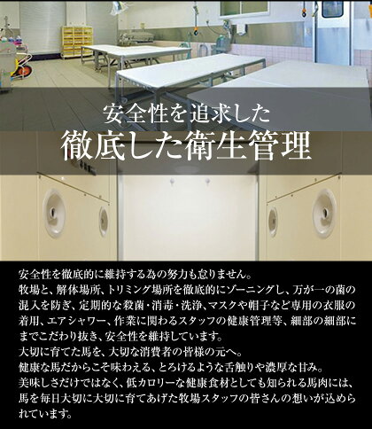【ふるさと納税】予約受付開始★赤身馬刺し(ブロック)【熊本肥育】たっぷり450g(タレ5ml×6袋)2個お申込みでコーネ(たてがみ)50g×1も一緒にお届け《3月下旬-6月末頃より順次出荷》