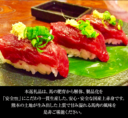 【ふるさと納税】予約受付開始★赤身馬刺し(ブロック)【熊本肥育】たっぷり450g(タレ5ml×6袋)2個お申込みでコーネ(たてがみ)50g×1も一緒にお届け《3月下旬-6月末頃より順次出荷》