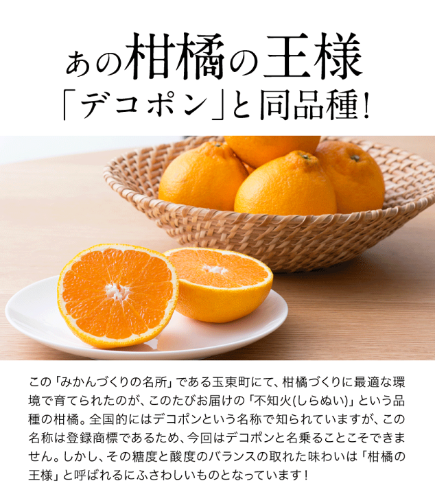 年内ラスト　デコポン　みかん　20kg 楽天市場】2025年5月母の日期間お任せ配送となります開花後実の