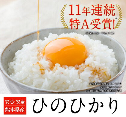 ふるさと納税熊本県玉名郡玉東町ひのひかりお米精米10kgこめコメ国産ブランド米九州雑穀米もち麦アマランサス無洗米