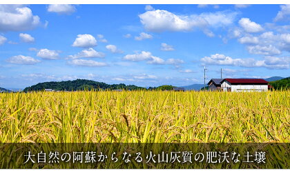 ふるさと納税熊本県玉名郡玉東町ひのひかりお米精米10kgこめコメ国産ブランド米九州雑穀米もち麦アマランサス無洗米