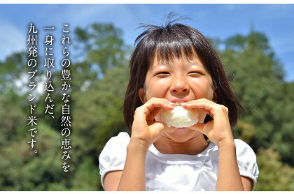 ふるさと納税熊本県玉名郡玉東町ひのひかりお米精米10kgこめコメ国産ブランド米九州雑穀米もち麦アマランサス無洗米