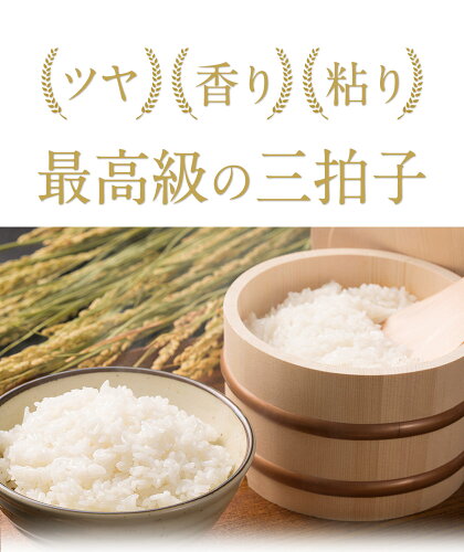 ふるさと納税熊本県玉名郡玉東町ひのひかりお米精米10kgこめコメ国産ブランド米九州雑穀米もち麦アマランサス無洗米