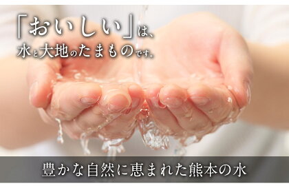 【ふるさと納税】令和2年産ひのひかり10kg熊本県産白米10kg+国産雑穀米令和2年精米玉東町《出荷時期をお選びください》