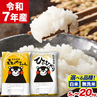 【ふるさと納税】令和7年産 無洗米 も選べる ひのひかり 森のくまさん 5...