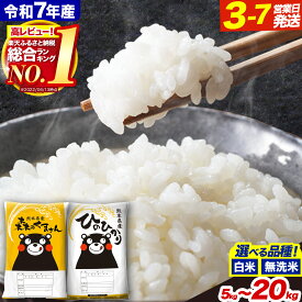 【ふるさと納税】＼寄附額見直し！／ 令和7年産 無洗米 ヒノヒカリ 森のくまさん 5kg 10kg 20kg 《出荷時期をお選びください》 高レビュー 熊本県産 国産 白米 精米 米 こめ ひのひかり コメ 定期便 定期 お買い物マラソン 12ヶ月 ランキング 熊本