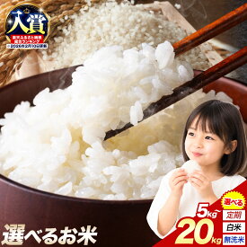 【ふるさと納税】 熊本県産 さとほまれ 無洗米 ご家庭用 5kg 10kg 20kg 《選べる出荷時期》熊本県 米 こめ コメ 定期便 楽天スーパーSALE お買い物マラソン 12ヶ月 お米 米10キロ 米5キロ ふるさと 10 5キロ 10キロ 20キロ 熊本