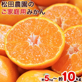 【ふるさと納税】＼先行予約スタート／ 松田農園 みかん たっぷり 5kg 10kg ご家庭用 《10月中旬-12月下旬頃出荷》【日付指定不可】 先行予約 フルーツ 秋 旬 熊本県玉名郡玉東町 松田農園 こだわり ミカン ちょこっと 訳あり 5キロ 10キロ