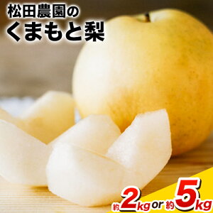 yӂ邳Ɣ[ŁzH {  Ԍ ytwsz wc_x ܂  Ղ 2kg 5-7ʑO 5kg 8-18ʑO F{ʖSʓwc_xȂ ʕ XC[c t[c 
