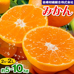 yӂ邳Ɣ[Łz݂ 5kg 10kg (2S-2LTCY) 􊹋kg ~J k t[c { F{ ʖS ʓ s10{-1{oׁt蕨 ʕ 
