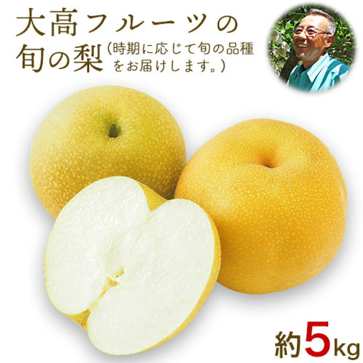 楽天市場 ふるさと納税 先行予約 大高フルーツの旬の梨 幸水 豊水 秋麗 あきづき 甘太 新高 約5kg 8 16玉前後 予約受付中 フルーツ 秋 旬 熊本県玉名郡玉東町 7月下旬 10月中旬頃より順次出荷 熊本県玉東町
