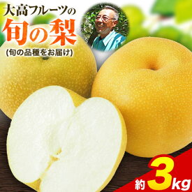 【ふるさと納税】秋 旬 梨 フルーツ 期間限定 大高フルーツの旬の梨(幸水/豊水/秋麗/あきづき/甘太/新高)★約3kg(5-12玉前後) 予約受付中 フルーツ 秋 旬★熊本県玉名郡玉東町 《8月中旬-10月上旬頃出荷》