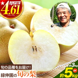 【ふるさと納税】秋 旬 梨 フルーツ 『緑伸園』旬の梨 たっぷり約5kg 6-16玉前後 or 約3kg 4-8玉前後 果物 スイーツ フルーツ デザート スムージー 《8月中旬-9月下旬頃出荷》期間限定 熊本県玉東町産 豊水梨 秋麗梨 あきづき 甘太 新高梨 ふるさと納税 熊本