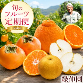 【ふるさと納税】【先行予約】『緑伸園』全4回 旬のフルーツ 定期便 旬の梨 3kg みかん 5kg 柿 2.5kg 不知火 2.5kg 頒布会 《2026年8月中旬-2027年1月下旬頃出荷》 期間限定 予約受付中 熊本県玉名郡玉東町産 果物 スイーツ フルーツ デザート