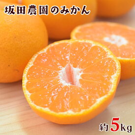 【ふるさと納税】秋 旬 期間限定 大容量 熊本県玉東町産限定『坂田農園』の秀品 みかん 大容量 約5kg(2S-L サイズ) 【日付指定不可】 予約受付中 フルーツ 秋 旬 ゼリー 玉東町70年ベテラン！濃厚 ジューシー 果汁 熊本県玉東町《10月上旬‐1月末頃出荷》