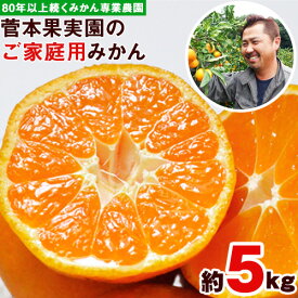 【ふるさと納税】＼先行予約スタート／ご家庭用 菅本果実園 の みかん 約5kg (2S-2Lサイズ) 【日付指定不可】 フルーツ 秋 旬★熊本県玉名郡玉東町 全国にファン多数！エコファーマー菅本さんのみかん♪ 菅本果実園 ちょこっと訳あり《11月中旬-12月末頃出荷》 5キロ