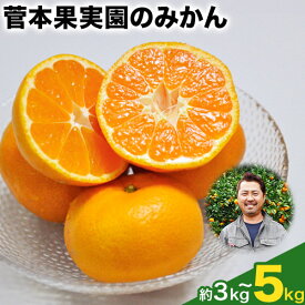 【ふるさと納税】＼先行予約スタート／ 菅本果実園 みかん 約3kg ～ 約5kg (S-Mサイズ) 【日付指定不可】《11月中旬-1月中旬頃出荷》フルーツ 期間限定 柑橘 みかん フルーツ 秋 旬 玉東 全国にファン多数！エコファーマー菅本さんのみかん♪