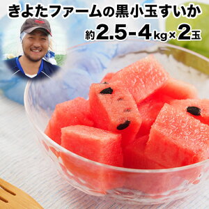 �y�ӂ邳�Ɣ[�Łz�y��s�\��z�w���悽�t�@�[���x�̍����ʂ�����2�ʃZ�b�g 1�ʖ�2.5-4kg�O�� �F�{���ʖ��S�ʓ����w���悽�t�@�[���x������ �t���[�c �ʕ� �F�{���Y�s2026�N7����{-8�����{��