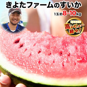 �y�ӂ邳�Ɣ[�Łz�y��s�\��z�w���悽�t�@�[���x�̂����� 1�ʖ�8�`10kg �F�{���ʖ��S�ʓ����w���悽�t�@�[���x������ �t���[�c �ʕ� �F�{���Y�s2026�N5�����{-6�����{���o�ׁt