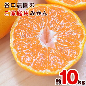 みかん 10kg 送料無料の人気商品 通販 価格比較 価格 Com みかん 10kg 送料無料の人気商品 通販 価格比較 価格 Com