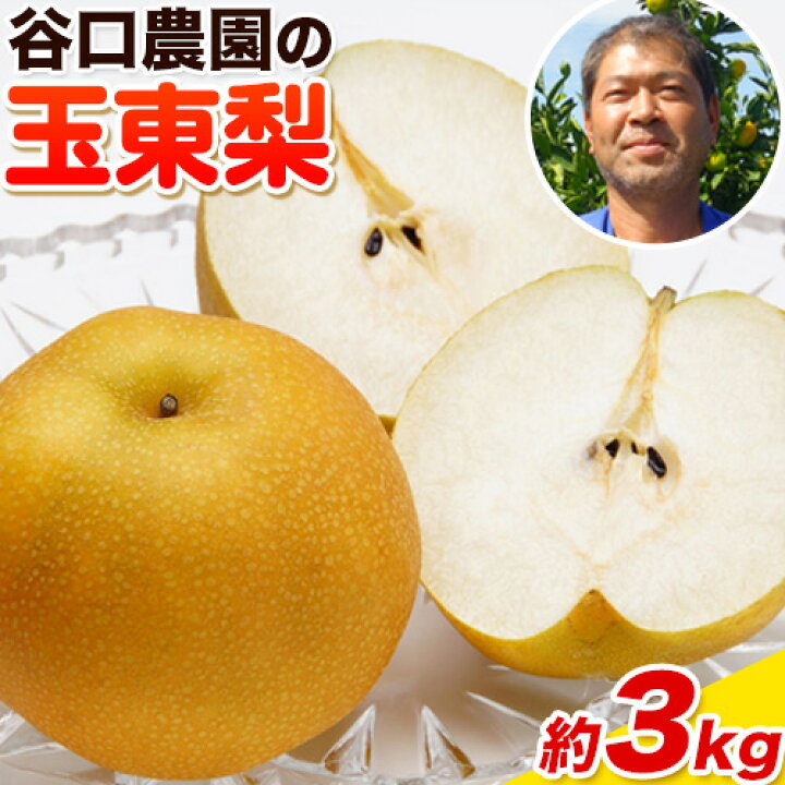 【砂糖不使用】ふるさと納税 大隅果樹園の玉東梨(旬の品種をお届けします) 約5kg(13-20玉前後) 予約受付中 フルーツ 秋 旬 熊本県玉名郡玉東町 《8月中旬-9月上.. 熊本県玉東町
