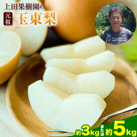 【ふるさと納税】梨 なし フルーツ 旬の梨 上田果樹園の元祖！玉東梨(旬の品種をお届けします) 選べる 約3kg 約5kg 熊本県玉名郡玉東町 なし 果物 スイーツ デザート 楽天スーパーSALE《7月下旬-9月下旬頃出荷》 ギフト 3キロ 5キロ フルーツギフト