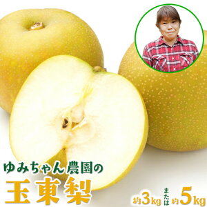 yӂ邳Ɣ[Łz Ȃ {̗ t[c L Â Ñ V ݂_̋ʓ Iׂ 3kg 5kg seʂIтtF{ʖSʓ  Ȃ ʕ t[cs8