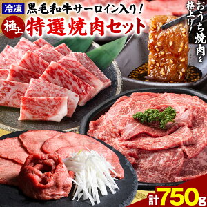 yӂ邳Ɣ[Łz јa ɏIēZbg 750g {Y s30ȓɏoח\(yj)t F{ ֒  a Y јa [X Jr ^  ē BBQ Ⓚ 