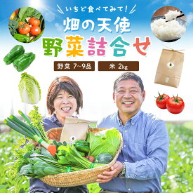 【ふるさと納税】野菜 詰合せ 7～9品 米 2kg 定期便 《出荷時期をお選びください》 畑の天使 いちど食べてみて「畑の天使」野菜 米 おまかせ 詰め合わせ セット 旬の野菜 ボリューム 季節 生産者 フレッシュ サラダ 熊本県 南関町 ふるさと納税 熊本 野菜セット 野菜生活