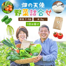 【ふるさと納税】野菜 詰合せ 7～9品 米 2kg 定期便 《30日以内に出荷予定(土日祝除く)》 畑の天使 いちど食べてみて「畑の天使」野菜 米 安全安心 おまかせ 詰め合わせ セット 旬の野菜 ボリューム 季節 生産者 フレッシュ サラダ 送料無料 熊本県 南関町