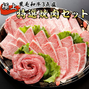 yӂ邳Ɣ[Łz јa ɏIēZbg 750g s30ȓɏoח\(yj)t a Y  ē BBQ B F{ Ⓚ 