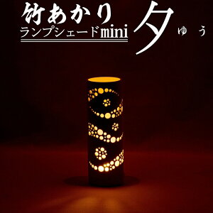 yӂ邳Ɣ[Łz|胉vVF[hminiu[i䂤jvs60ȓɏoח\(yj)t | CeA Ɩ CeA GgX rO  LED 