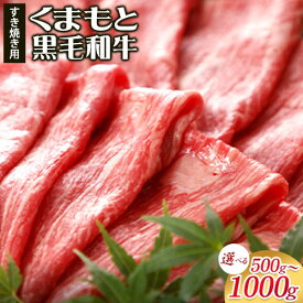 【ふるさと納税】牛肉 くまもと黒毛和牛 すき焼き用 500g 1000g 肉 黒毛和牛 すき焼き 長洲町L（桜屋）《30日以内に出荷予定(土日祝除く)》