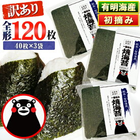 【ふるさと納税】 海苔 高レビュー 訳あり 一番摘み 海苔 120枚 有明海産 全形40枚入り×3袋 小分け 定期便 も選べる わけあり 訳アリ 選べる のり塩 おにぎり 寿司 大容量 くまもん《45日以内に出荷予定(土日祝除く)》長洲町