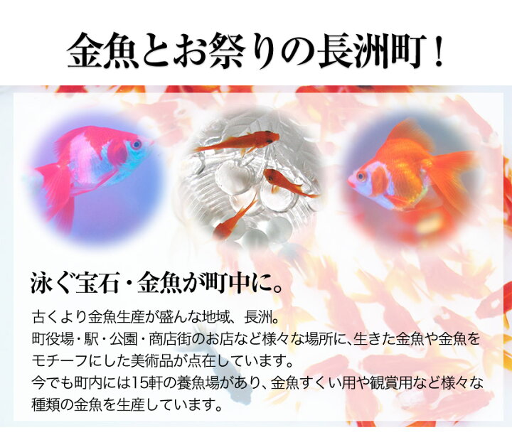 楽天市場 ふるさと納税 バラエティーギフトセット 金魚もなか 的ばかい ダックワーズ 金魚印マドレーヌ お菓子のよね村 30日以内に順次出荷 土日祝除く 熊本県長洲町 楽天市場 ふるさと納税 バラエティーギフトセット 金魚もなか 的ばかい ダックワーズ 金魚印マドレーヌ お菓子のよね村 30日以内に順次出荷 土日祝除く 熊本県長洲町